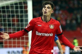 Kaiyun-包含Ming新星挺进下一轮表现惊艳，切尔西未来可期！的词条