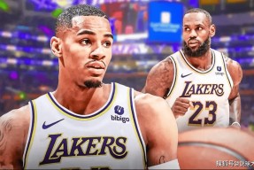 开云体育-穆雷关键节点战术调整，湖人带队取胜！的简单介绍